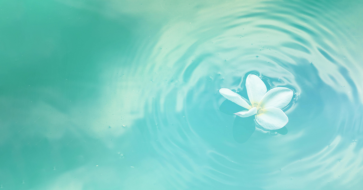 2026年認知為本的慈悲訓練CBCT*深度體驗營