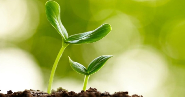 北區2026.01.29_SEE101線上課程